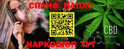хмурый Кингисепп