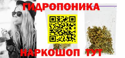 хмурый Кингисепп