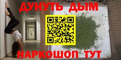 хмурый Кингисепп