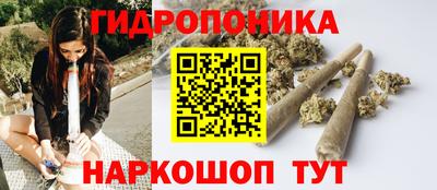дживик Кимры