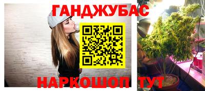 дживик Кимры