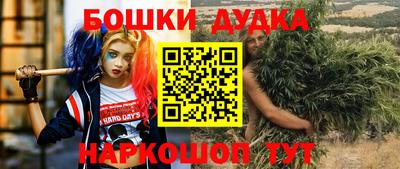 хмурый Кингисепп