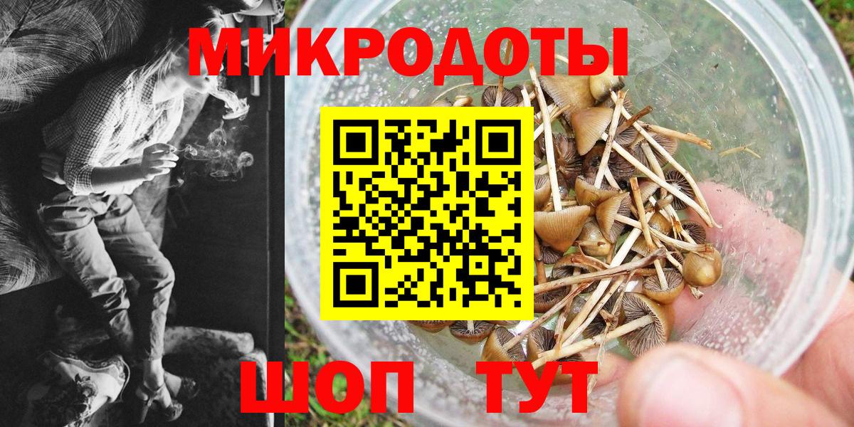 Псилоцибиновые грибы Magic Shrooms Шадринск