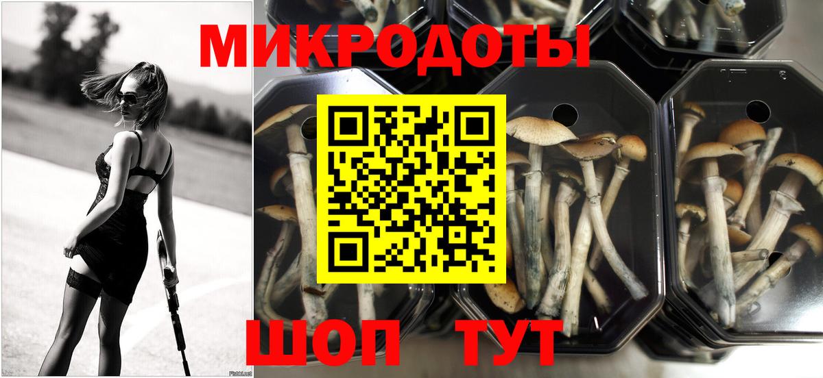 Галлюциногенные грибы Cubensis  Псилоцибиновые грибы Psilocybine cubensis  Шадринск  Вход с VPN 